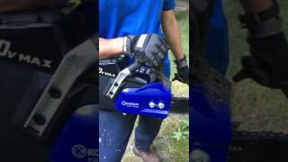 Kobalt 80v Cordless Brushless Chainsaw Cutting [upl. by Idram]