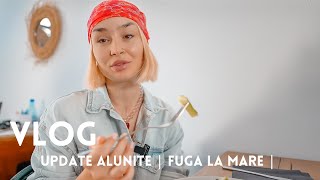 VLOG  Update alunite scoase  O fuga in Vama  Hauluri diverse [upl. by Adaven]