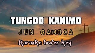 TUNGOD KANIMO by Jun Gamboa Karaoke lower key [upl. by Nolrev]