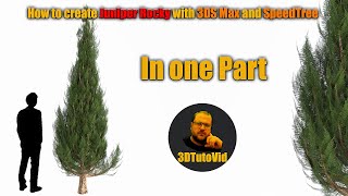 How to create Juniper Rocky Tree with 3DS Max and corona and SpeedTree [upl. by Theda281]