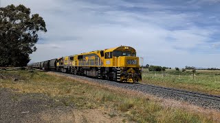 TasRail 2053 2054 46 Coal train crossing Bishopsbourne Road [upl. by Di]