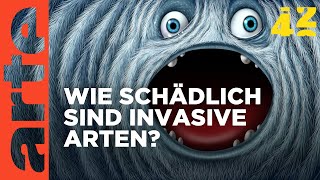 Sind invasive Arten besser als ihr Ruf  42  Die Antwort auf fast alles  ARTE [upl. by Jackson]