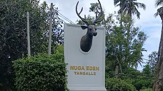 Nuga Eden Tangalle  Hotels in Sri Lanka  Santhosh Rupert [upl. by Enirehtahc]