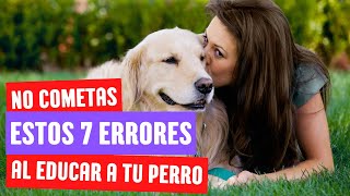 🚫NO cometas estos ERRORES al educara tu perro🐶 [upl. by Obeng]