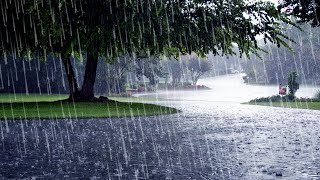 Best Rain Sounds For Sleep  99 Fall Asleep With Rain And Thunder Sounds At Night  For insomnia [upl. by Xirdnek99]