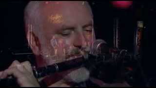 The Chieftains  Matt Molloy Medley [upl. by Yorle]