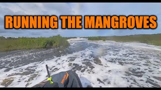 running mangroves on skis seadoo yamaha [upl. by Mairb]