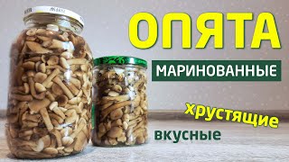 Маринованные опята – простой рецепт на зиму в банках [upl. by Nimar]