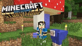 A GIFT FOR STAMPY  MY MINECRAFT STORYMODE HOUSE EP5 [upl. by Nylrats]