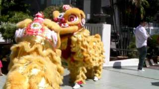 CNY 2010 虎年 醒狮表演 （初一） [upl. by Pass]