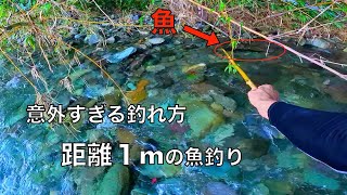 距離１mの魚釣り。意外に美味しいあの魚を本気で調理した結果‥ [upl. by Ahron]