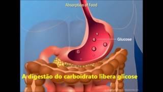 insulina video aula [upl. by Llerehs]