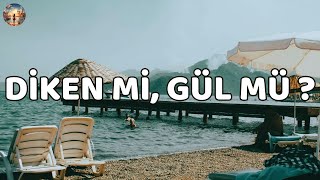 EYPİO amp SİBEL CAN  DİKEN Mİ GÜL MÜ  LYRİCS  SÖZLERİ [upl. by Alliuqet]