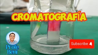 Método de Separación de Mezclas CROMATOGRAFÍA [upl. by Esidnac]