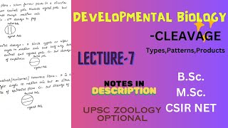 Cleavage  Types  Patterns  Planes  Products  BSc Zoology  Notes pdf in description [upl. by Idnahk]