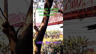 Hardinge bridge pabna kustia bangladeshbangladesh pabna kustia travel bridge travelvlog [upl. by Emanuel]