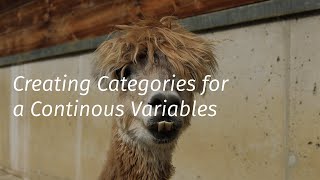 Categorizing continuous variable [upl. by Adlih335]