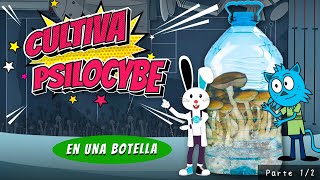 Cómo Cultivar Hongos en una Botella [upl. by Ytissahc197]