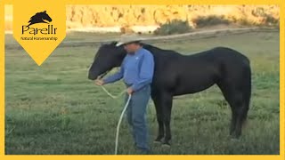 Parelli Natural Horse Training Tip  Pat Parelli shows how to lead a horse [upl. by Yht3]