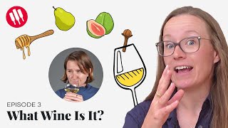 Learn by Tasting ep 3 Wine Folly [upl. by Tuhn]