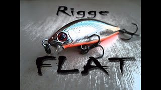 ZipBaits Rigge FLAT 45 S Береговая рыбалка [upl. by Schindler]