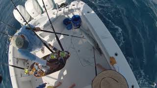 WAHOO FISHING OFFSHORE  MOREHEAD CITY NC CAPE LOOKOUT TO SWANSBORO HOLE [upl. by Oirram]