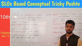 21 Difference between neuron and nerves  Types biology in pashto [upl. by Atsev]