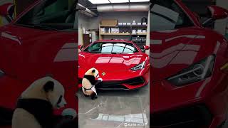 Watch This TINY PANDAs Car Washing Skills [upl. by Connelley]