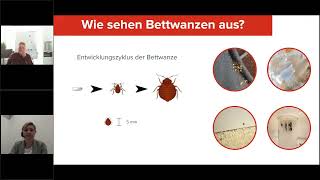 So erkennen Sie einen Bettwanzenbefall frühzeitig [upl. by Knowland]