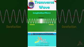 Example of Transverse wave I Transverse wave I Physics I physics learning penacademy [upl. by Halland56]