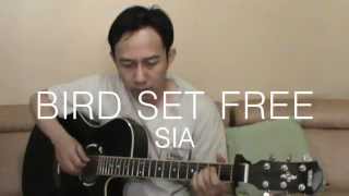 Sia  Bird Set Free Fingerstyle Guitar Cover  TABs [upl. by Zetrom832]