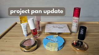 project pan update 3  before and afters are getting interesting [upl. by Ranger832]