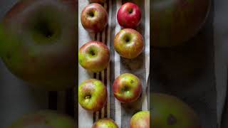 How to REMOVE FLY SPECK and SOOTY BOTCH on organic homegrown apples [upl. by Lodie]