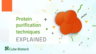 Extraction of Casein from Milk [upl. by Ydissahc672]