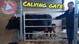 New calving gate How did weaning go [upl. by Arag]