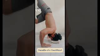 Do it on a regular basis viralvideo trending shorts fitness [upl. by Lottie]