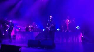 Skin Deep  The Stranglers  50th Anniversary Tour Royal Albert Hall 26032024 [upl. by Maren160]