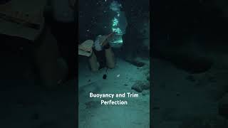 Buoyancy and trim shorts shortvideo scuba buoyancy trim diving perfection  underwater [upl. by Brice]