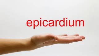 How to Pronounce epicardium  American English [upl. by Lundt911]