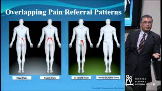 Sacroiliac Joint Pain Diagnosis and Treatments [upl. by Eilyr]