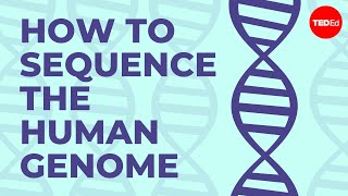 How to sequence the human genome  Mark J Kiel [upl. by Rahr]