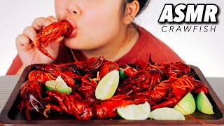 ASMR SEAFOOD BOIL CRAWFISH MUKBANG 먹방 EATING SHOW NO TALKING EATING SOUNDS [upl. by Dorella15]