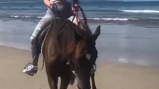 Morning ride at Seminyak beach [upl. by Surad]