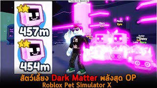 สัตว์เลี้ยง Dark Matter พลังสุด OP Roblox Pet Simulator X [upl. by Htir998]