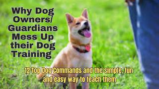 How to Train Your Dog The 12 Most Important Commands Foolproof Training Tips and Lessons Learned [upl. by Adnik]