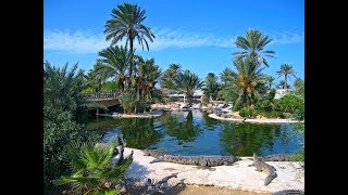 Top 10 Things To Do In Djerba Island [upl. by Nirot906]