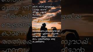 Aalapanam Thedum song lyrics  Ente sooryaputhrikku  KJ Yesudas [upl. by Henghold]