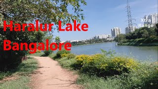 Haralur Lake Haralur Road Bengaluru [upl. by Brenner]