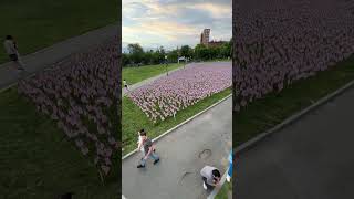 Boston Common Memorial Day USA flag garden 2024 fake drone shot [upl. by Sabina812]