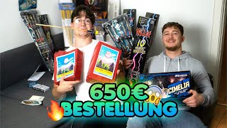 Unsere ERSTE Feuerwerk Bestellung für SILVESTER 20232024📦🔥 [upl. by Elleval]